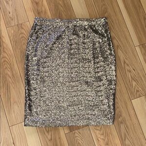 Cremieux Silver Sequin Pencil Skirt. Holiday Glam.